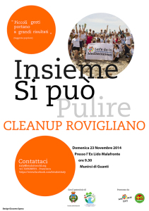 La locandina dell'iniziativa "Cleanup Rovigliano"