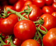 L’attacco del pomodoro cinese